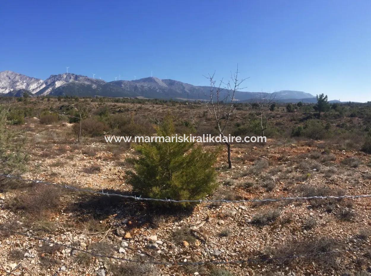 Der 200000M2 Mandelgarten Steht Im Zentrum Von Mugla Zum Verkauf.