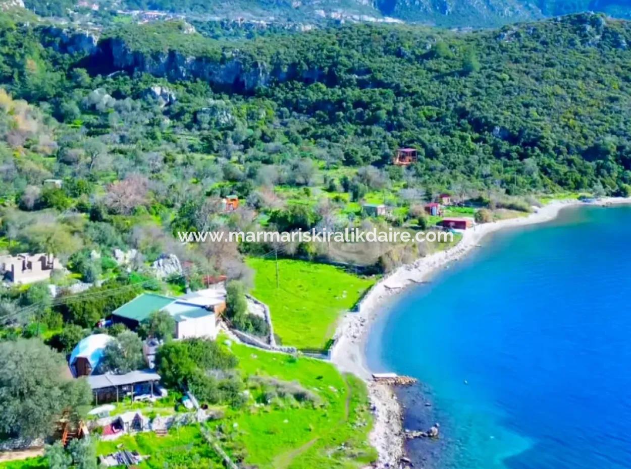 Marmaris Söğüt Dorf 378M2 Geeignet Für Investitionen Am Meer 378M2 Feld Zu Verkaufen