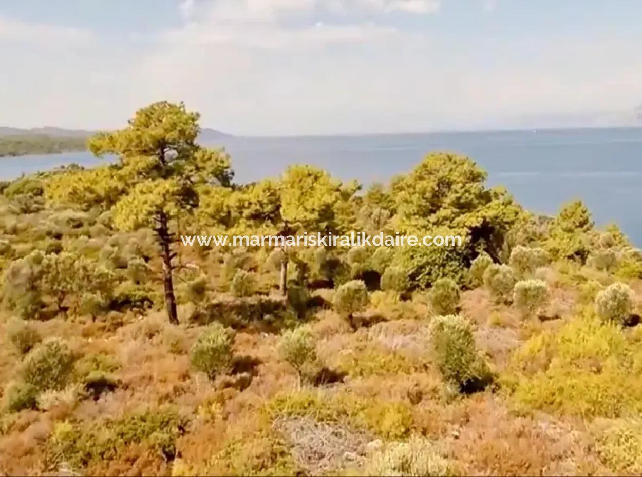 Die Zum Verkauf Stehende Insel Im Golf Von Gökova Im Bezirk Marmaris Hat Eine Grundstücksfläche Von 365000M2 Und Es Befindet Sich Ein Eingetragenes Haus Darin.
