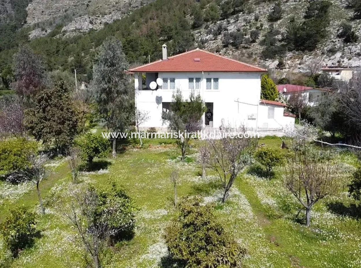 Bauernhaus Inmitten Von Olivenhainen Mit 10 Zimmern Auf Einem Grundstück Von 3700M2 In Der Nähe Des Meeres Im Stadtteil Orhaniye Von Marmaris Vom Immobilienmakler