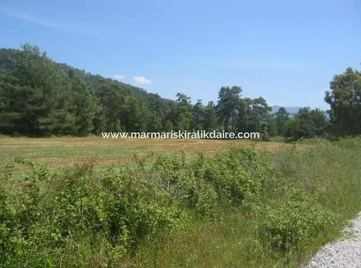 Urgent For Sale Plot In The Village Of 25.000 M2 Glazed Marmaris