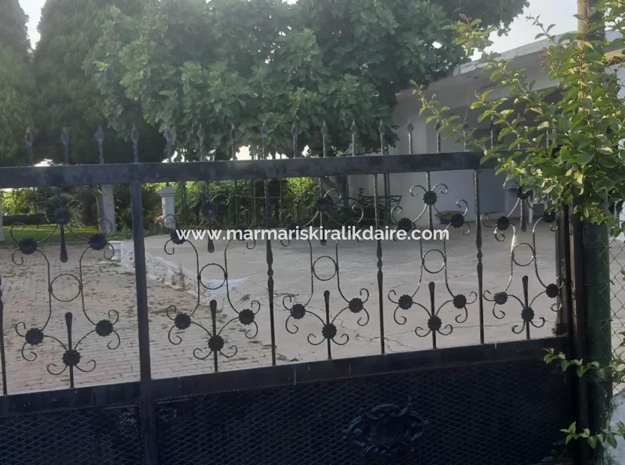 Manisa Prefecture Alasehir District 19000M2 Grapefring Farm For Urgent Sale