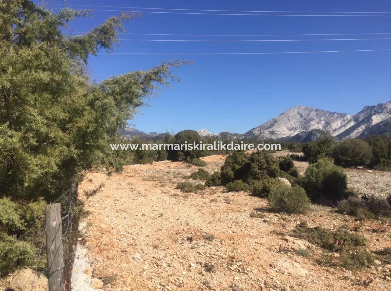 The 200000M2 Almond Garden Is For Sale In The Center Of Mugla.