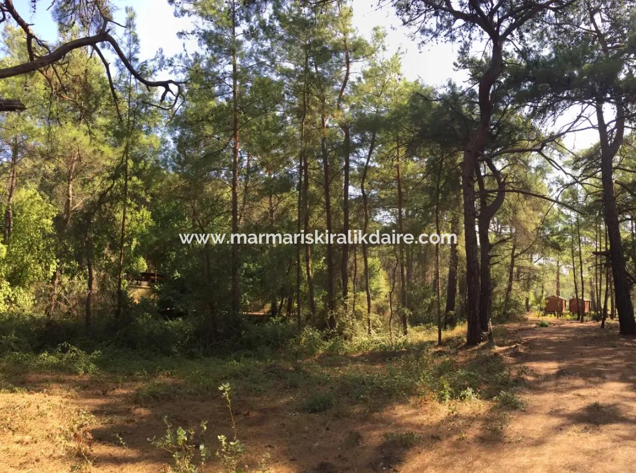 Land For Sale Suitable For Bungalow Hotel In 7500M2 Plot In Bördübet Bay