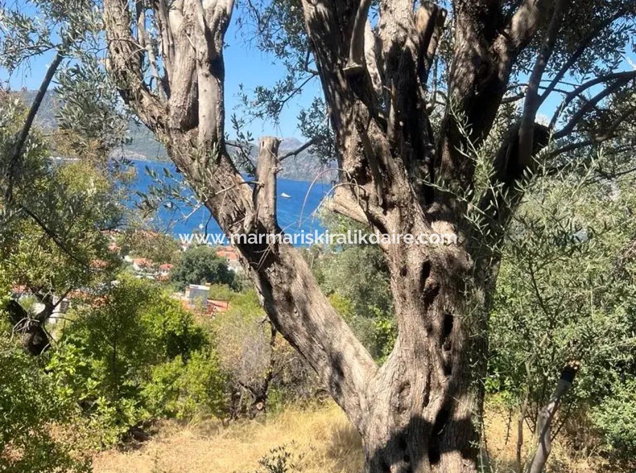 Land For Sale In Marmaris Selimiye Neighborhood With Sea View 5200M2 Suitable For The Construction Of 2 Villas Or Hotel Construction
