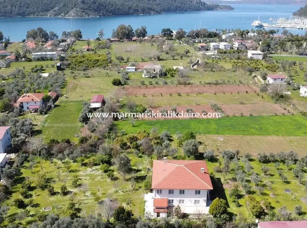 Farmhouse Among Olive Groves With 10 Rooms In A Plot Of 3700M2 Close To The Sea In The Orhaniye Neighborhood Of Marmaris From The Real Estate Agent