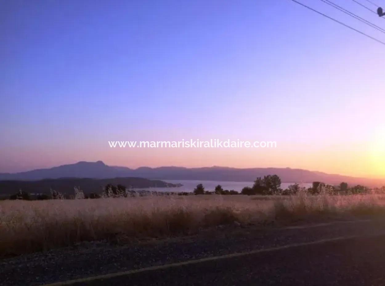 Köyceğiz İlçesi Zeytinalanı Mahallesi 19000M2 Satılık Göl Manzaralı Arsa