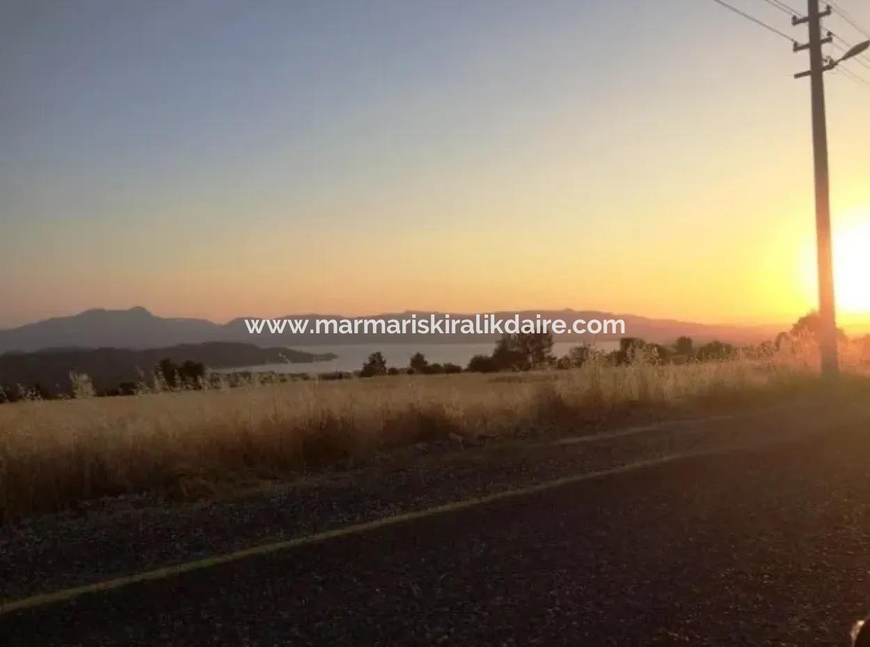 Köyceğiz İlçesi Zeytinalanı Mahallesi 19000M2 Satılık Göl Manzaralı Arsa