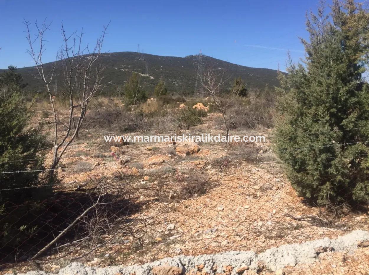 Muğla Merkezinde 200000M2 Badem Bahçesi Satılıktır.