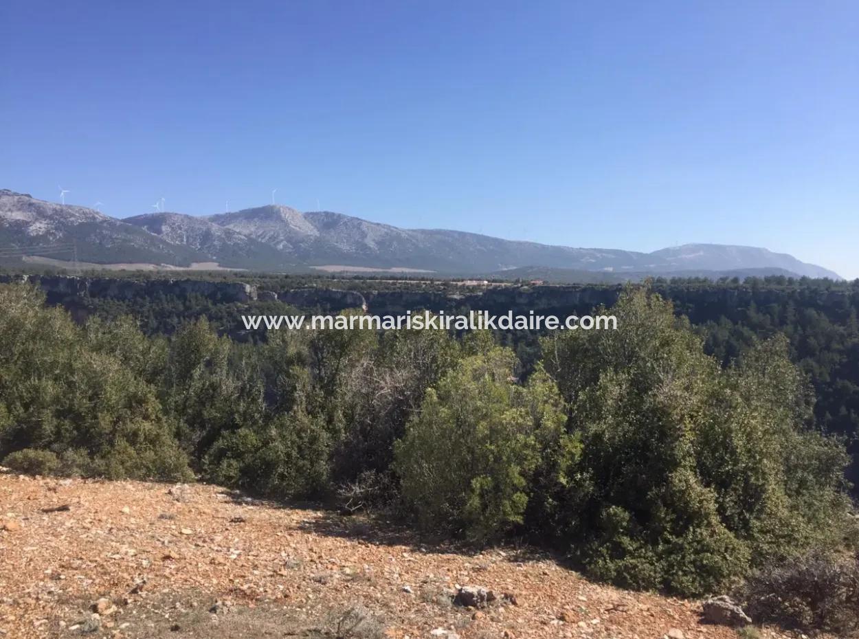 Muğla Merkezinde 200000M2 Badem Bahçesi Satılıktır.