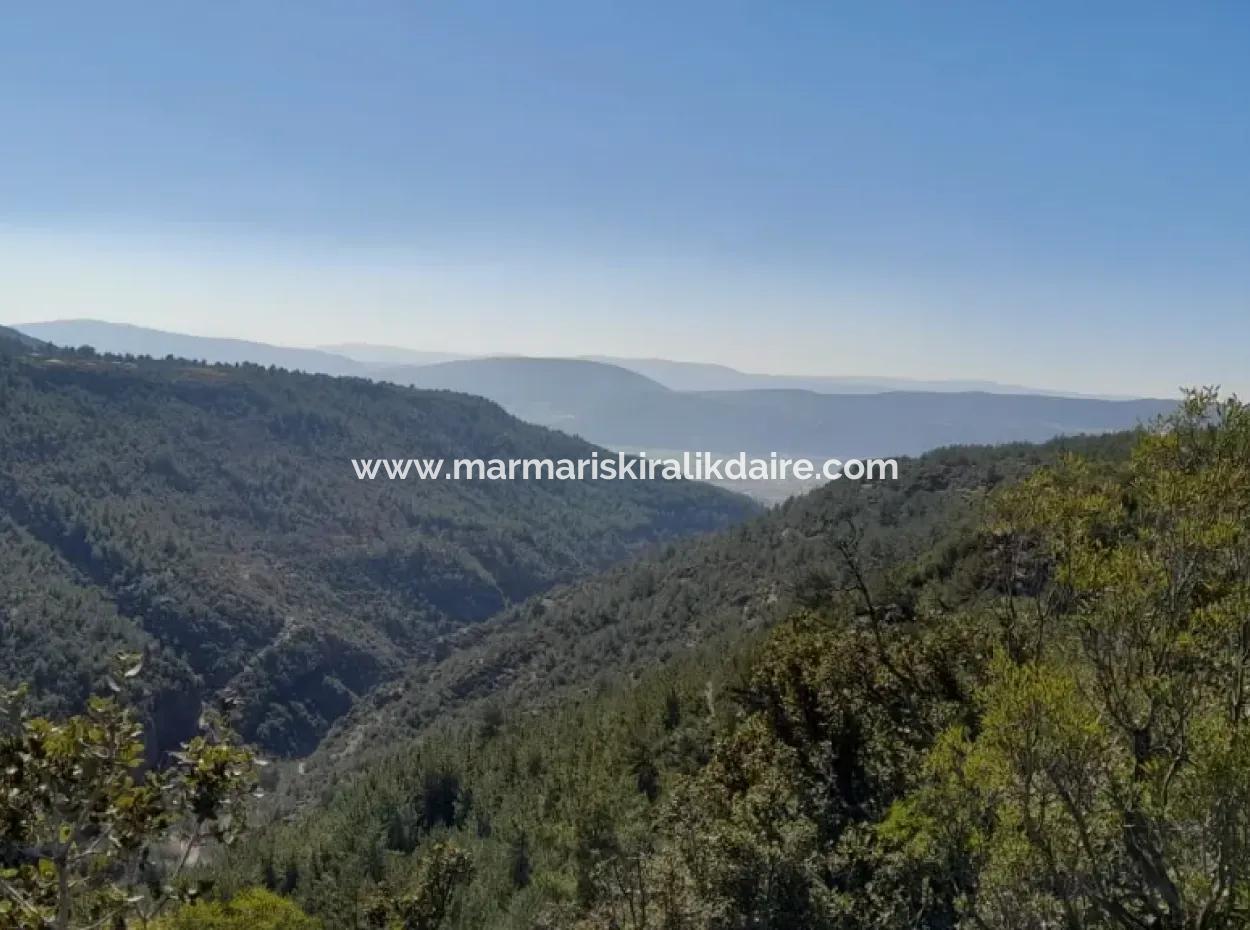 Muğla Merkezinde 200000M2 Badem Bahçesi Satılıktır.