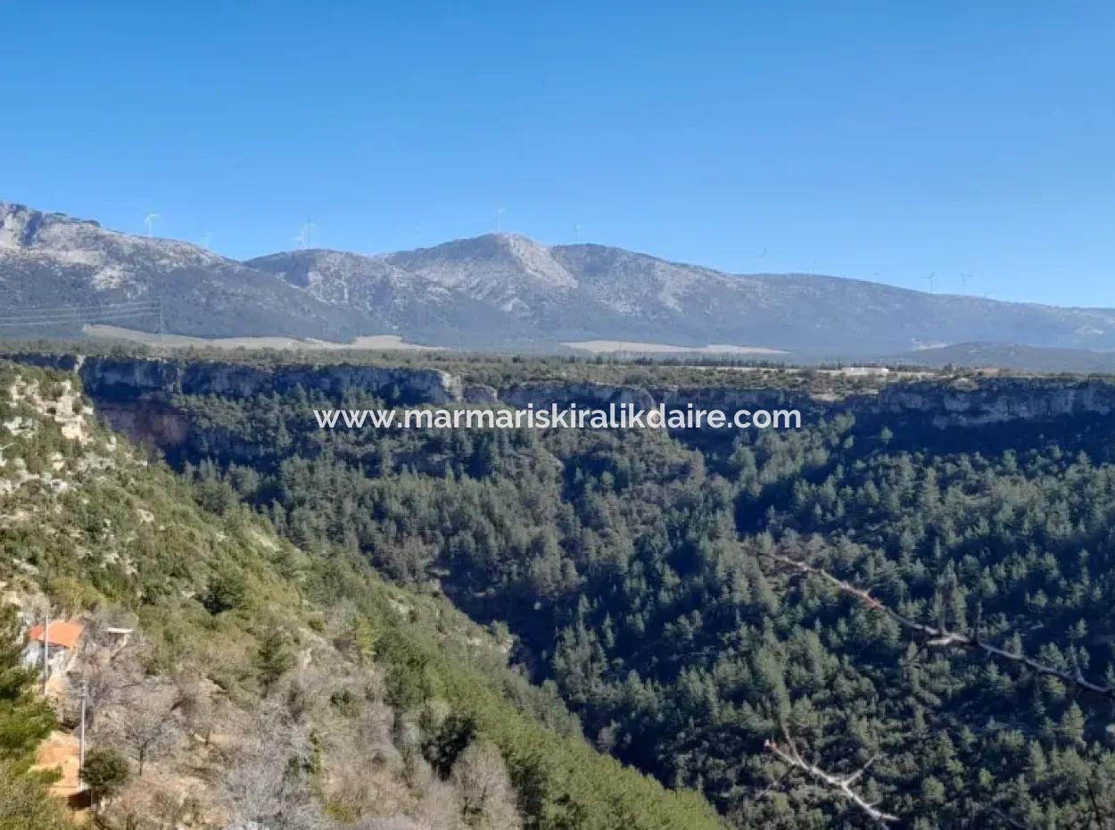 Muğla Merkezinde 200000M2 Badem Bahçesi Satılıktır.