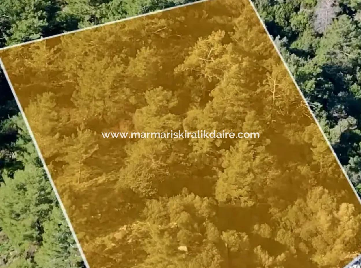 Marmaris İlçesi Turunç Mahallesi Deniz Kenarı 2354M2 Satılık Arsa
